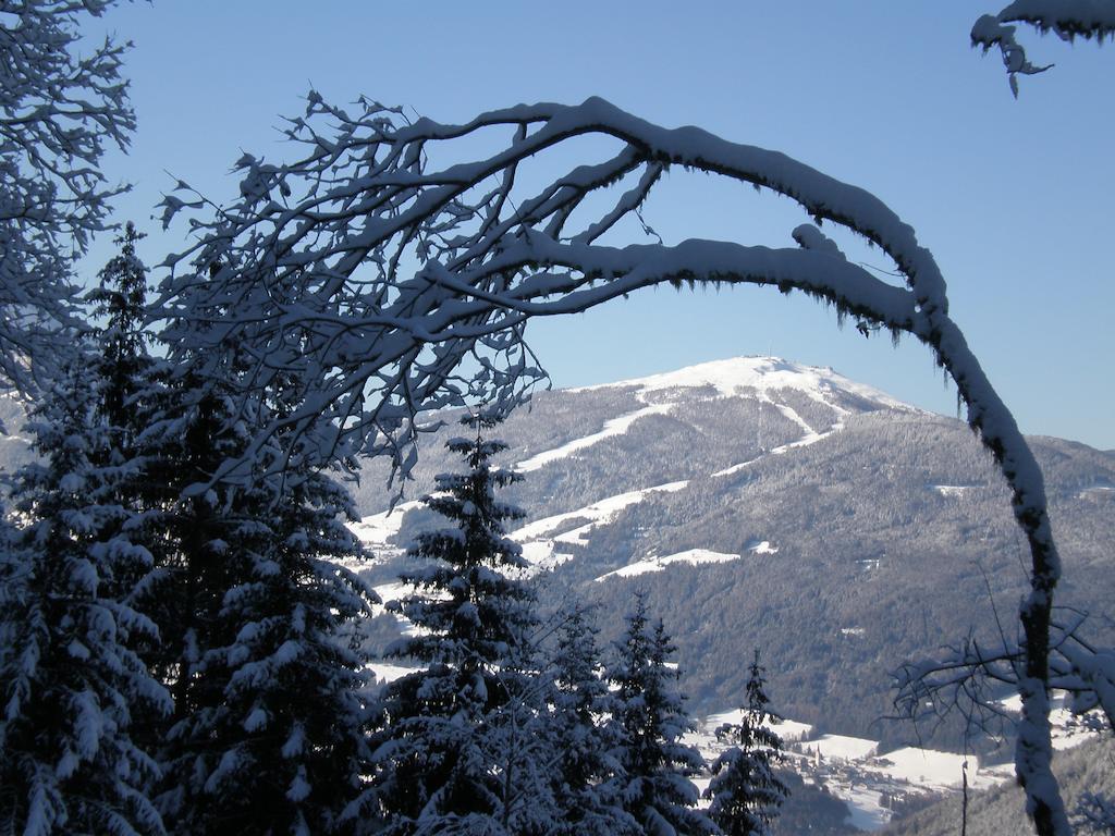 Oberlechnerhof Bed & Breakfast Rasun di Sopra Bagian luar foto
